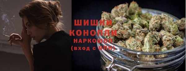 МДПВ Бородино