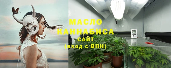 МДПВ Бородино