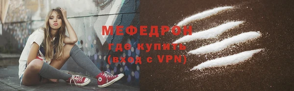 МДПВ Бородино