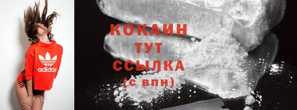 МДПВ Бородино