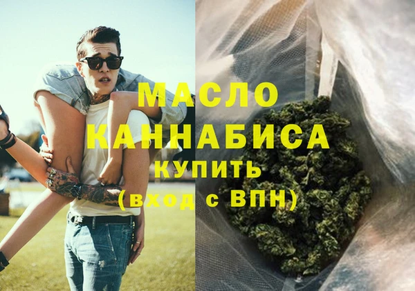 МДПВ Бородино