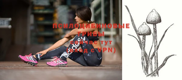 ешки Бугульма