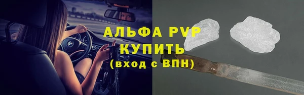 МДПВ Бородино