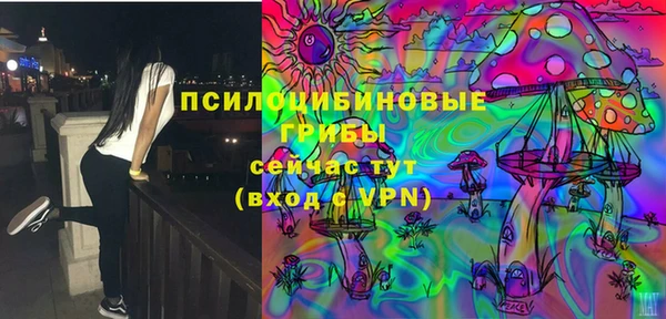 МДПВ Бородино