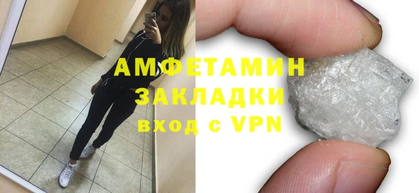 МДПВ Бородино